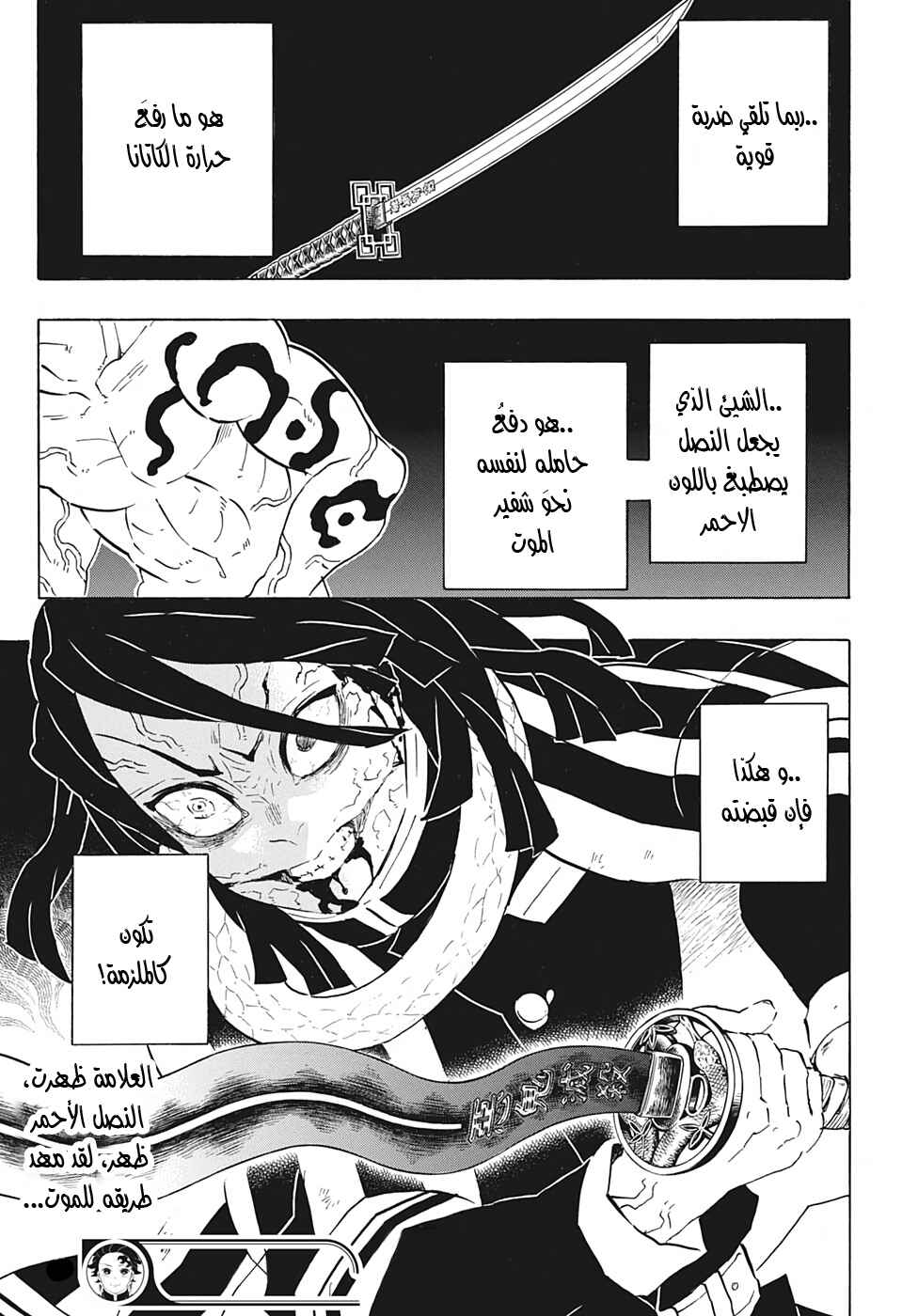 Demon Slayer: Kimetsu no Yaiba Chapter 189 - Page 18