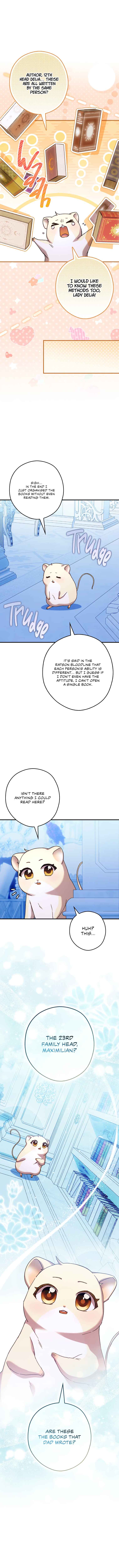 Cinderella's Pocket-Sized Protector Chapter 25 - Page 17