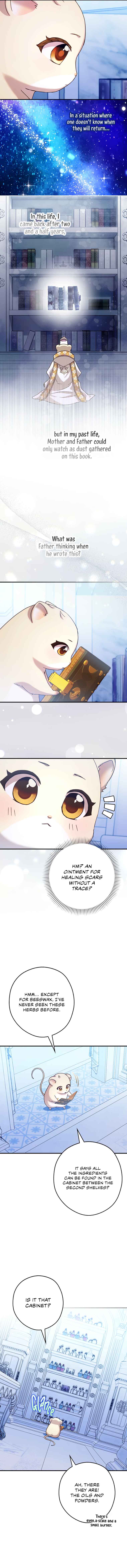 Cinderella's Pocket-Sized Protector Chapter 25 - Page 23