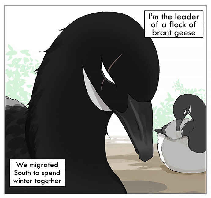 Southern Bird and Northern Bird Chapter 27 - Page 1
