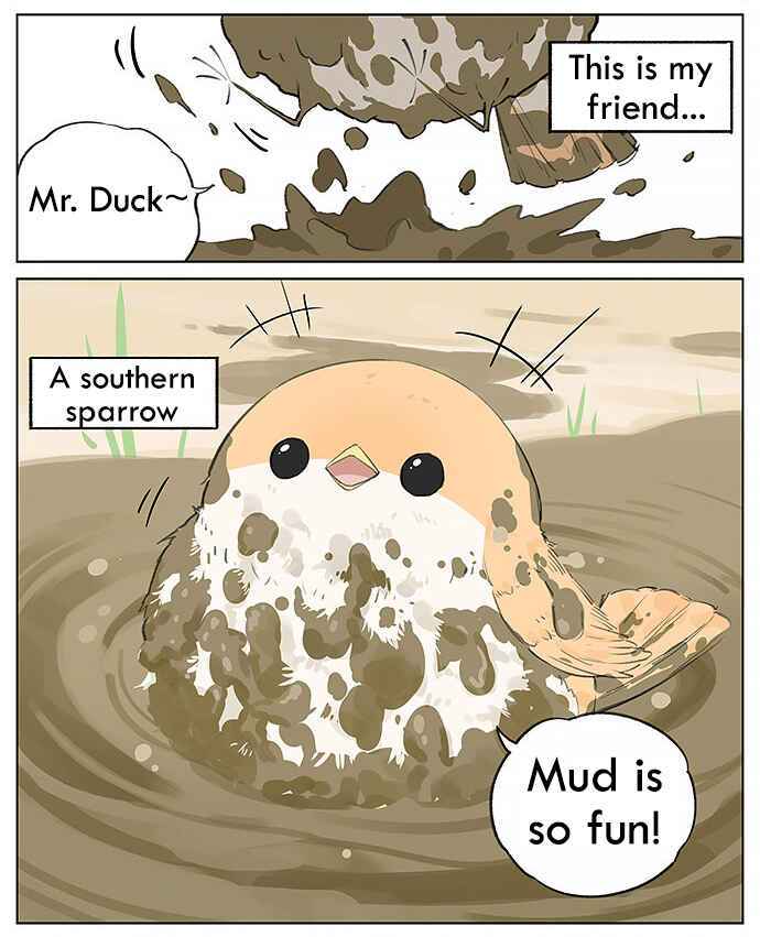 Southern Bird and Northern Bird Chapter 27 - Page 2