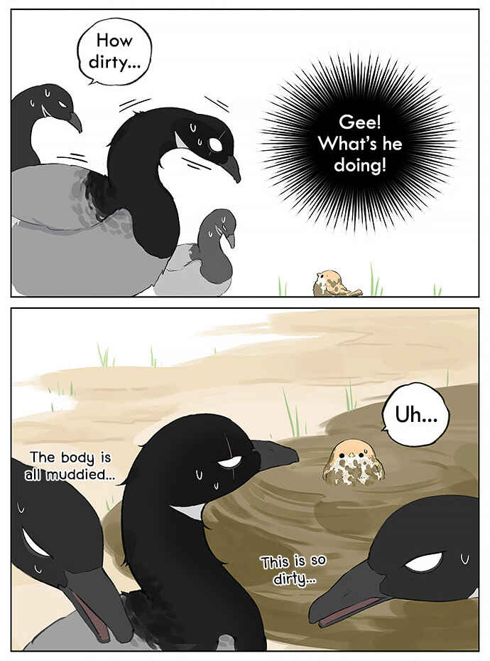 Southern Bird and Northern Bird Chapter 27 - Page 3