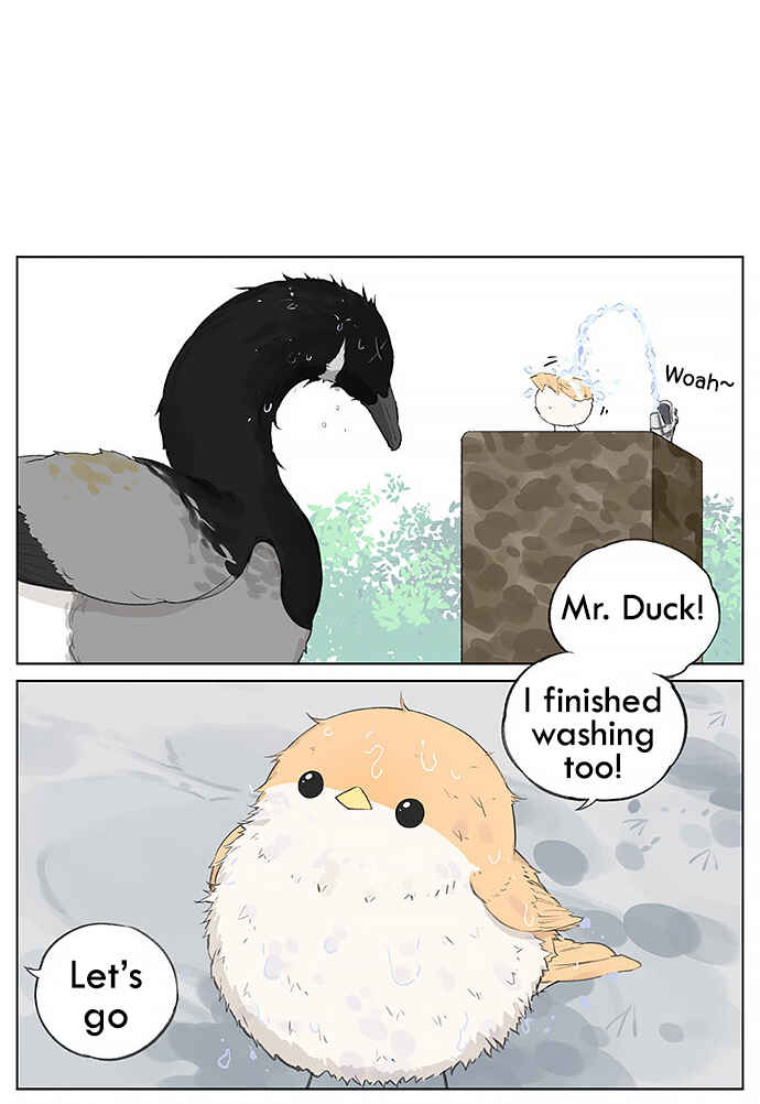 Southern Bird and Northern Bird Chapter 27 - Page 6