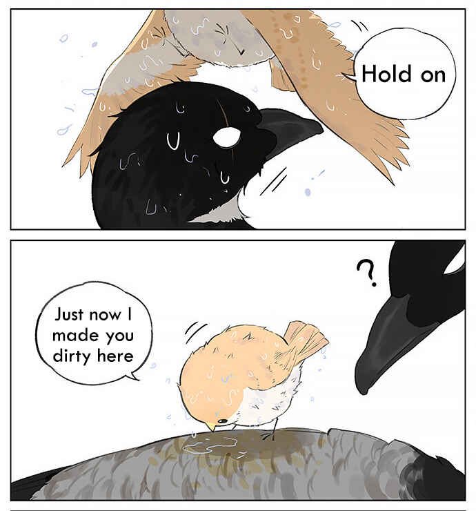 Southern Bird and Northern Bird Chapter 27 - Page 7