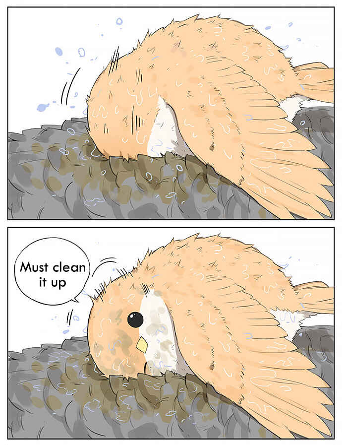 Southern Bird and Northern Bird Chapter 27 - Page 8