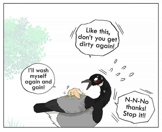 Southern Bird and Northern Bird Chapter 27 - Page 9
