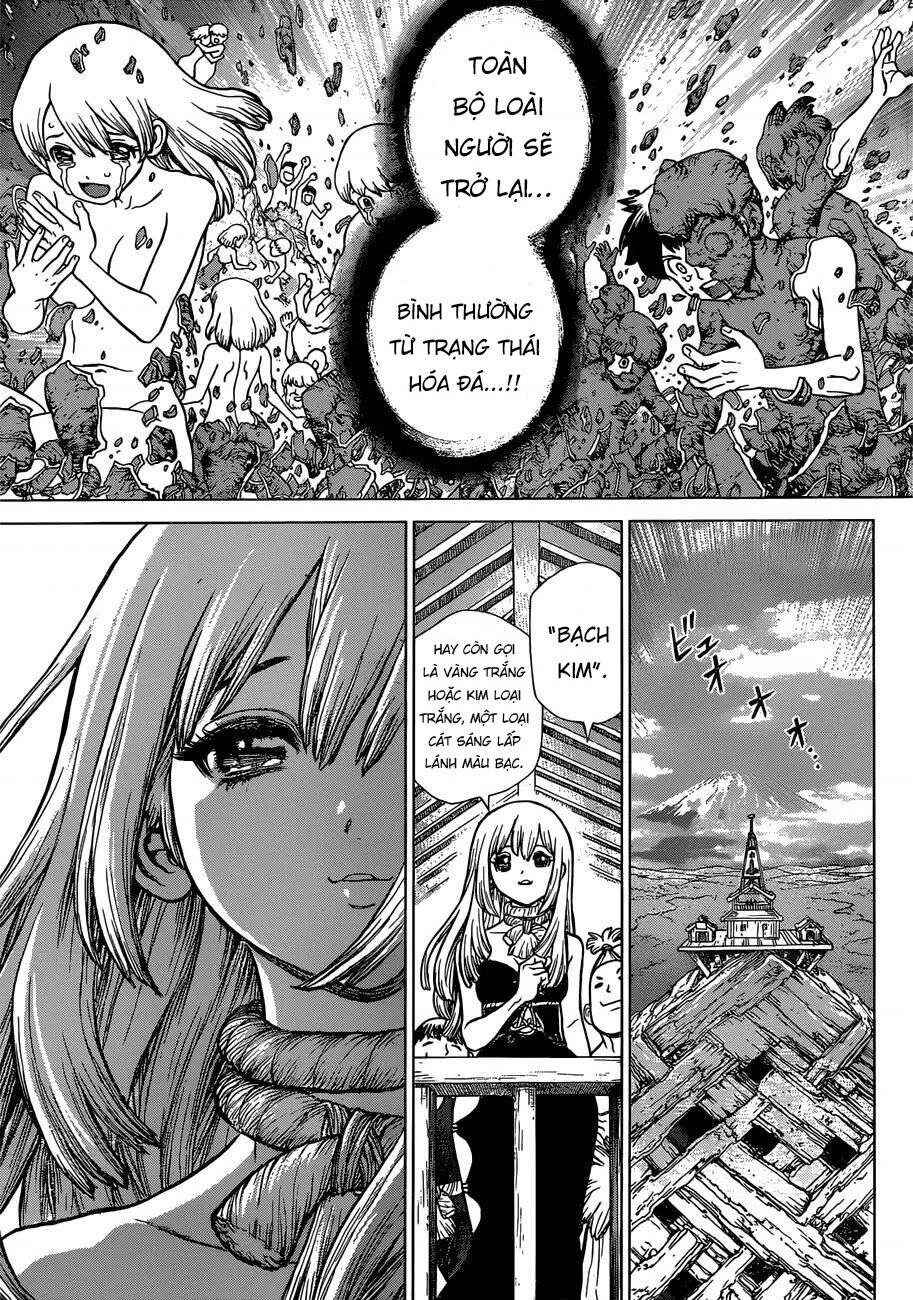 Dr.STONE Chapter 101 - Page 12