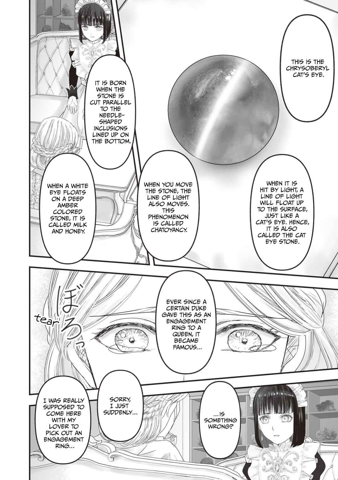 Housekishou no Maid Chapter 25 - Page 37