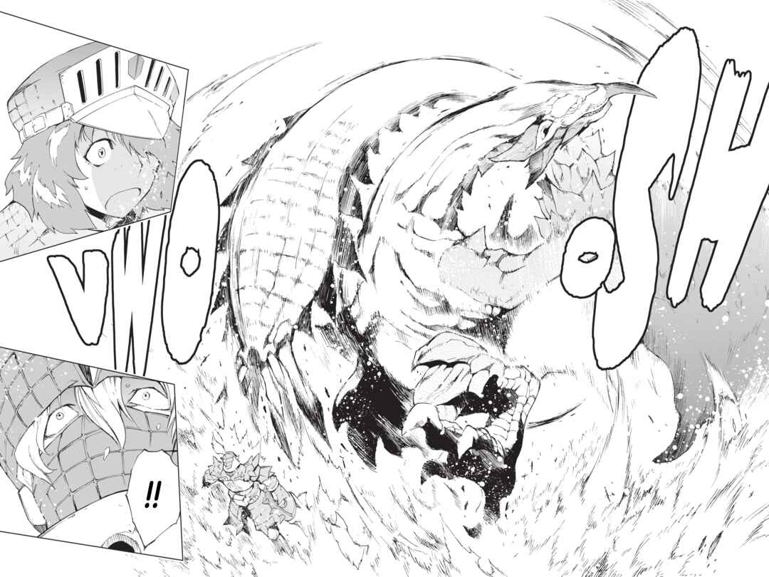 Monster Hunter: Flash Hunter Chapter 5 - Page 13