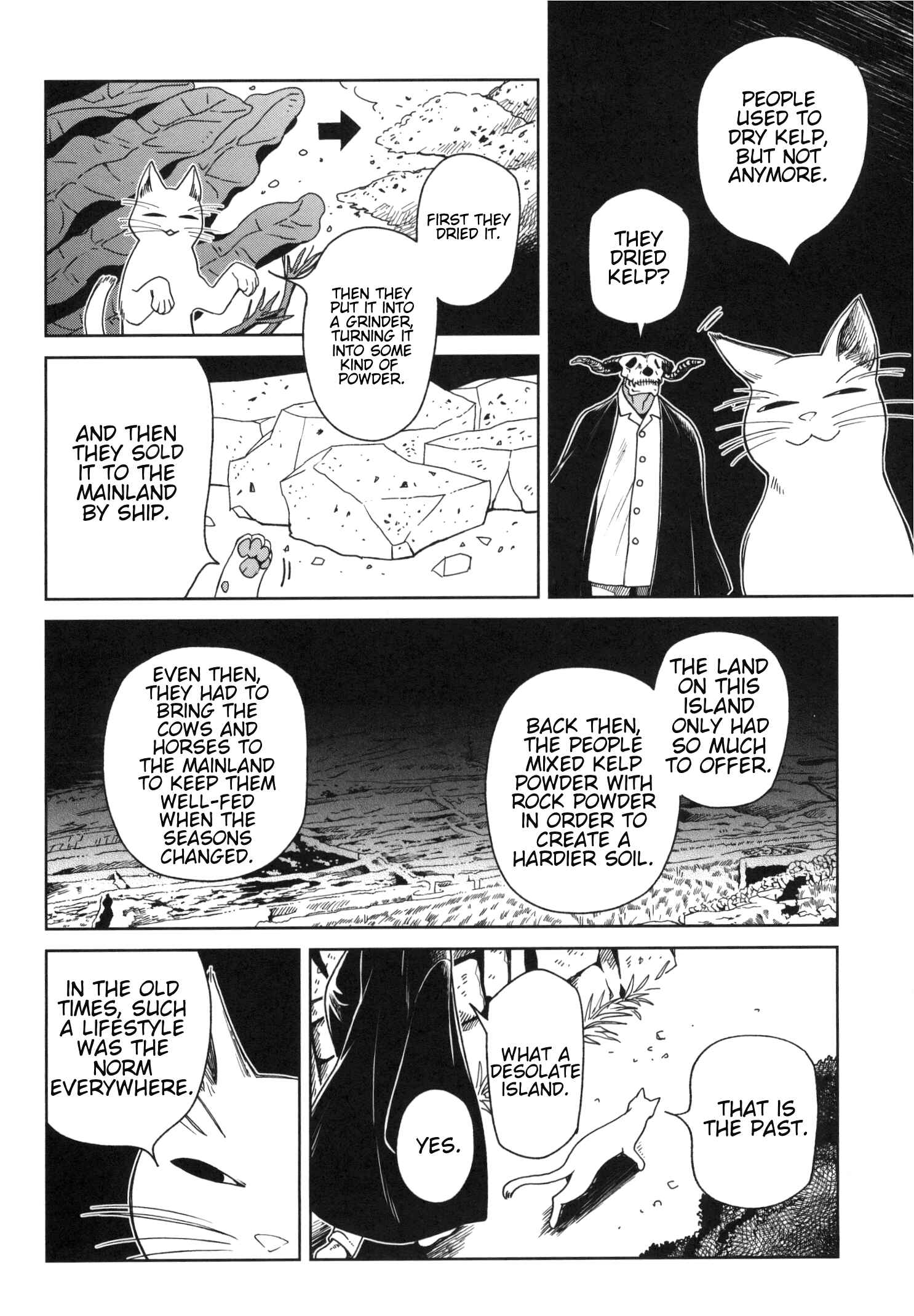 The Ancient Magus' Bride Chapter 78.5 - Page 17