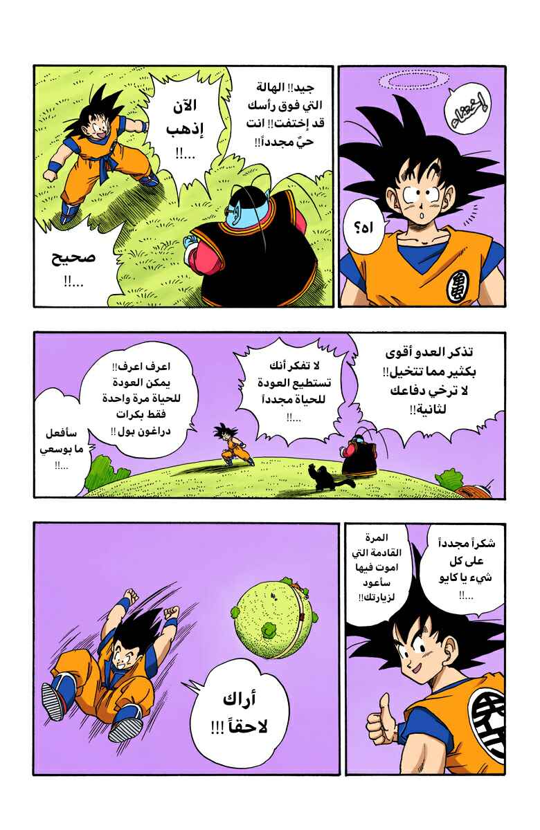 Dragon Ball (Official Colored) Chapter 212 - Page 12