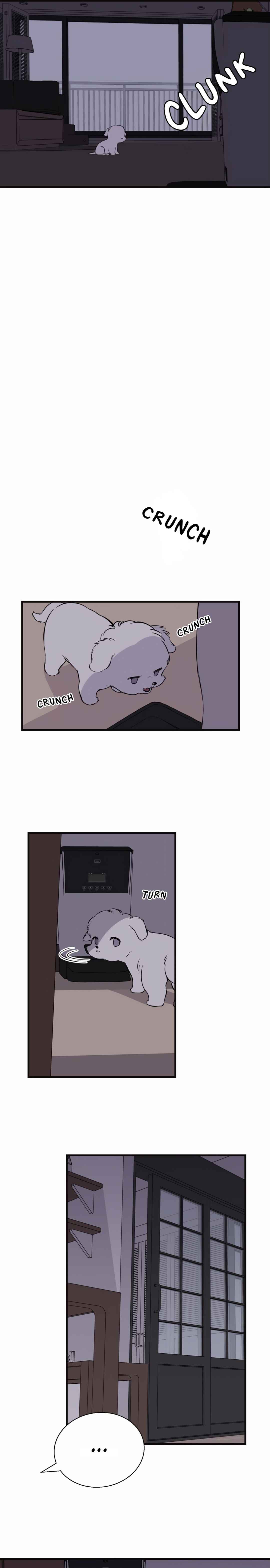 Run Like a Dog Chapter 1 - Page 14