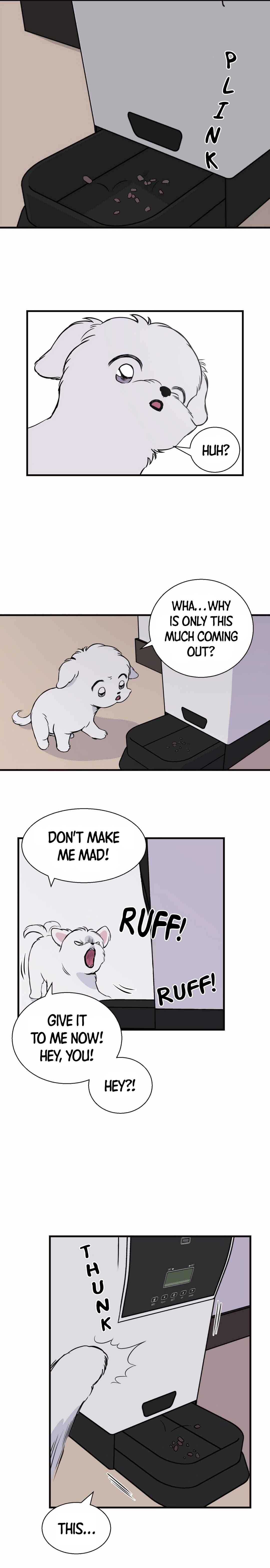 Run Like a Dog Chapter 1 - Page 16