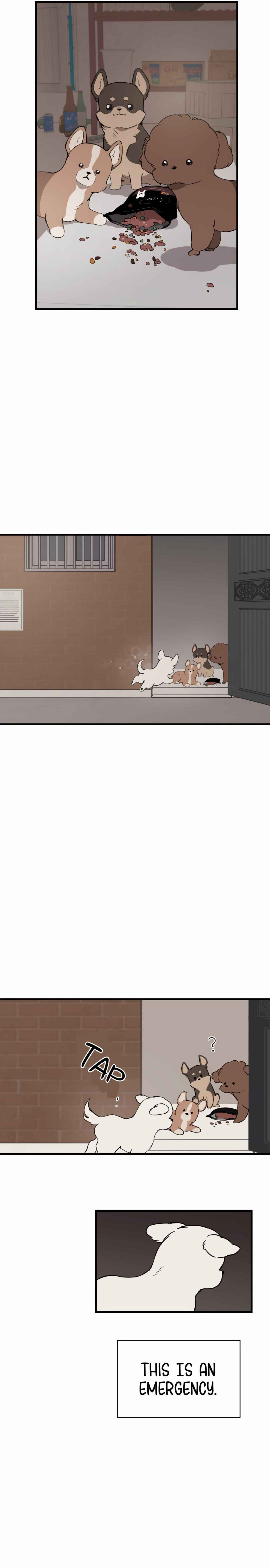 Run Like a Dog Chapter 1 - Page 34