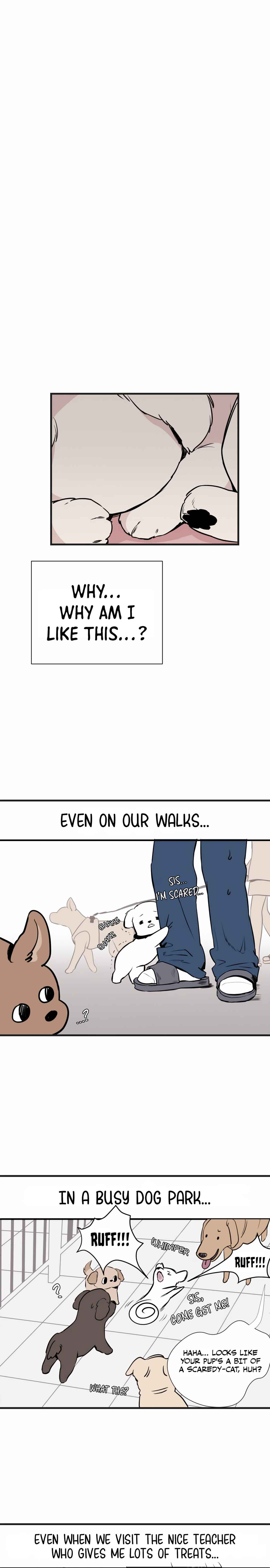 Run Like a Dog Chapter 1 - Page 42