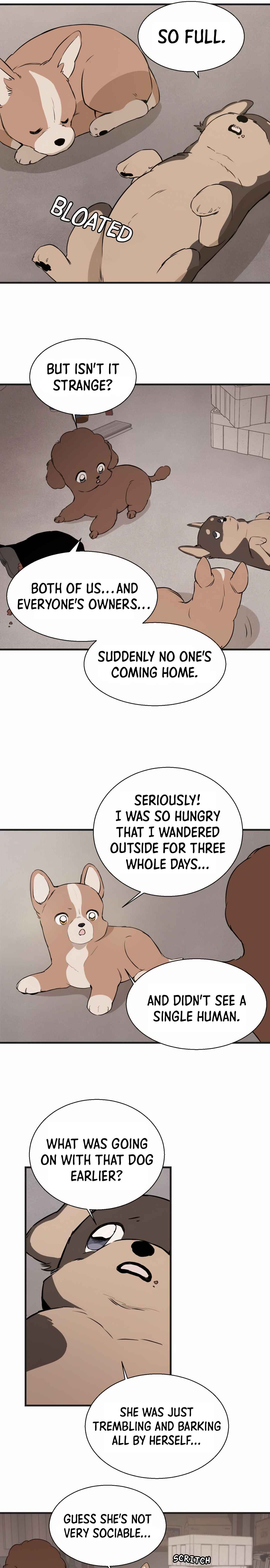 Run Like a Dog Chapter 1 - Page 44