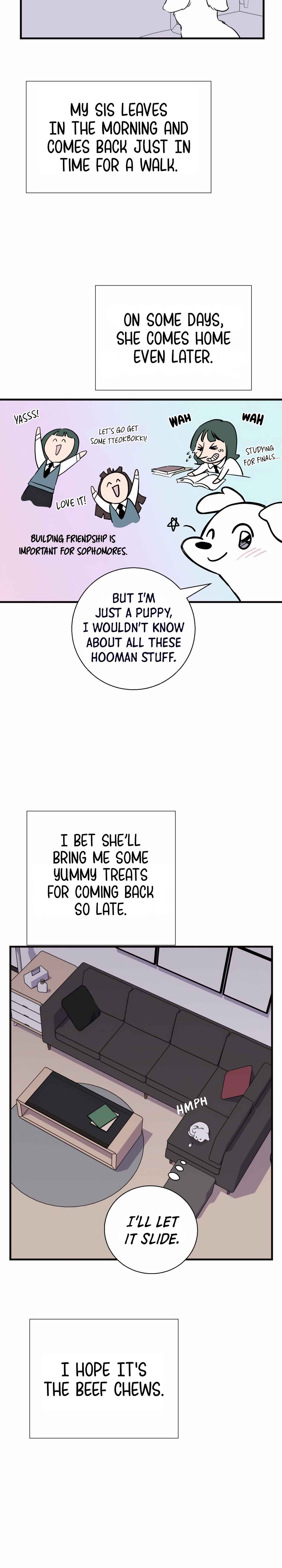 Run Like a Dog Chapter 1 - Page 7