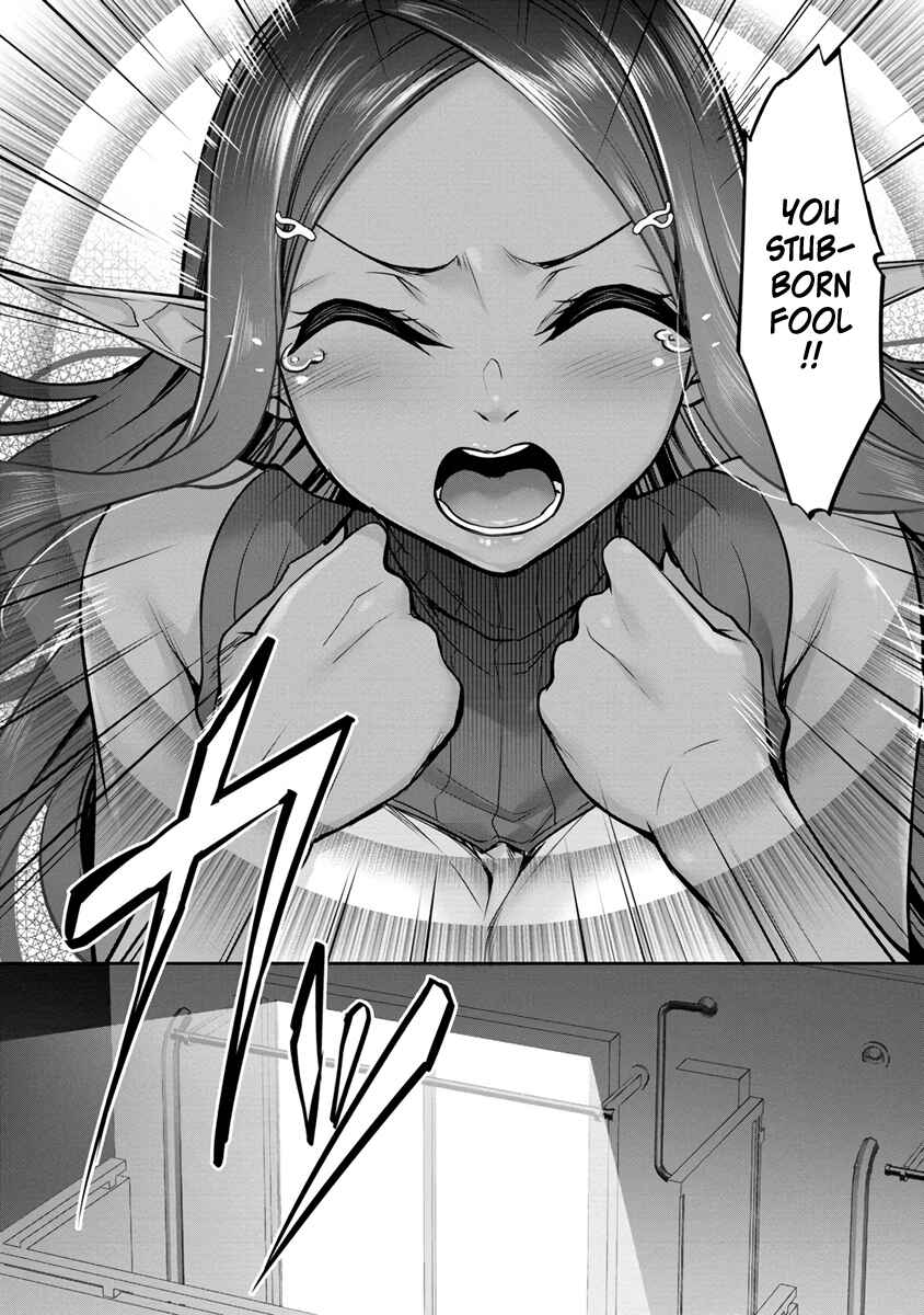 Chotto Dake Ai ga Omoi Dark Elf ga Isekai kara Oikakete Kita Chapter 14 - Page 13