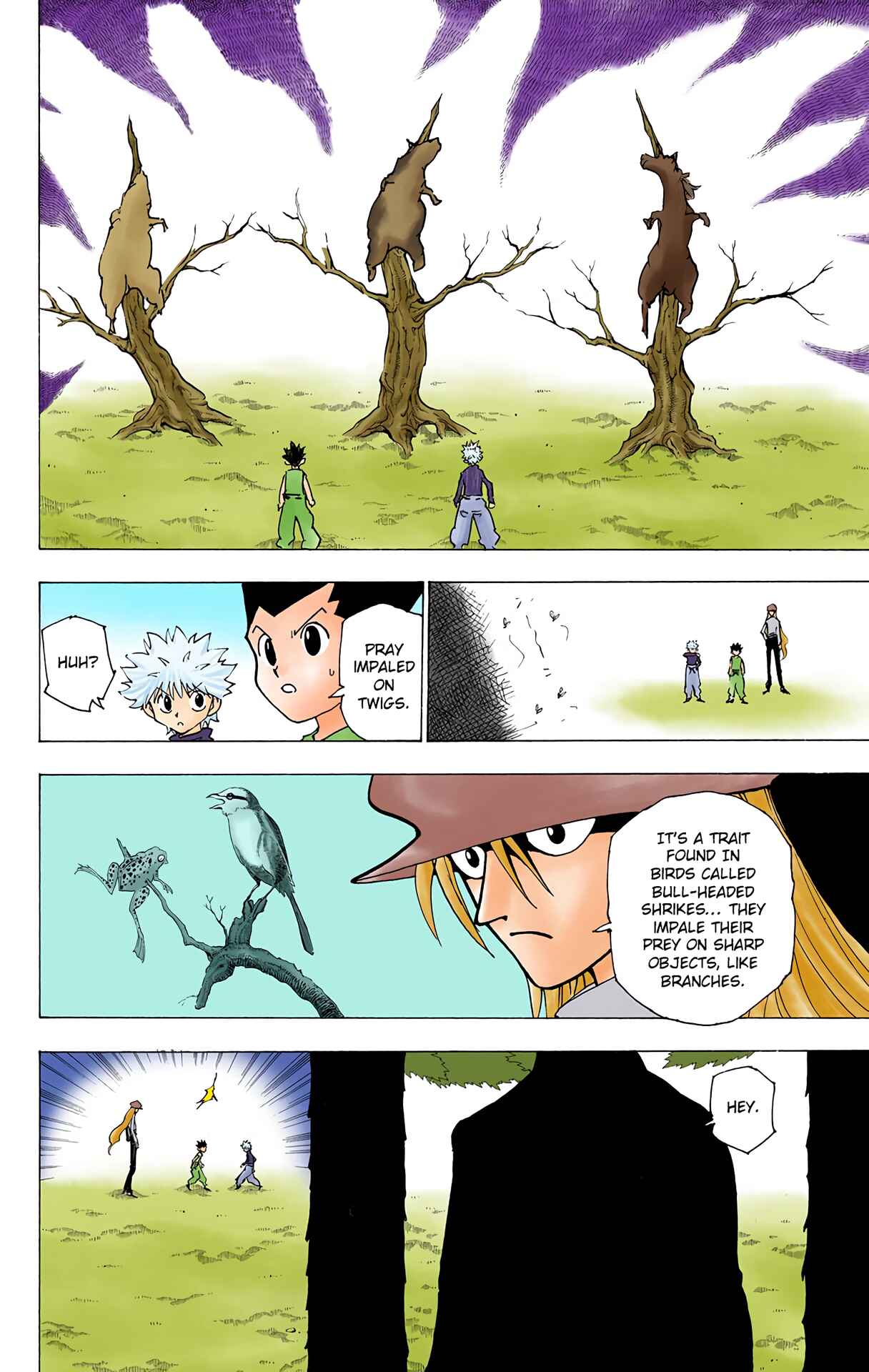 Hunter x Hunter (Official Colored) Chapter 191 - Page 2