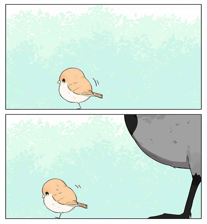 Southern Bird and Northern Bird Chapter 19 - Page 10