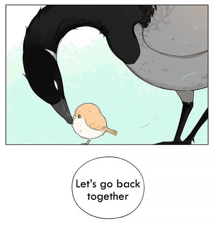Southern Bird and Northern Bird Chapter 19 - Page 12