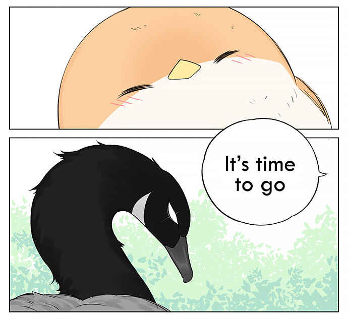 Southern Bird and Northern Bird Chapter 19 - Page 4