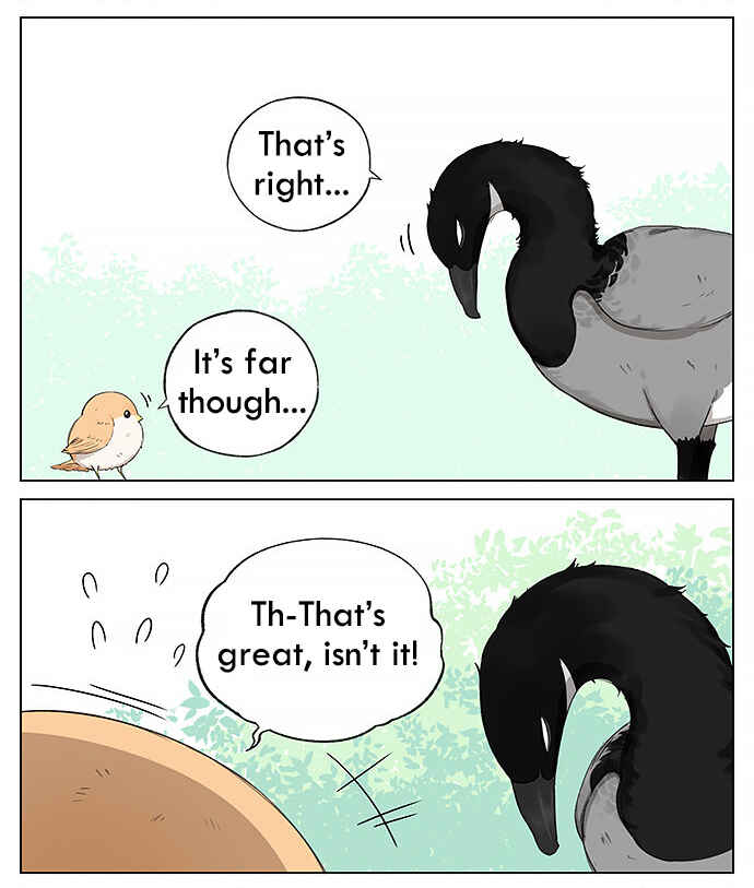 Southern Bird and Northern Bird Chapter 19 - Page 8