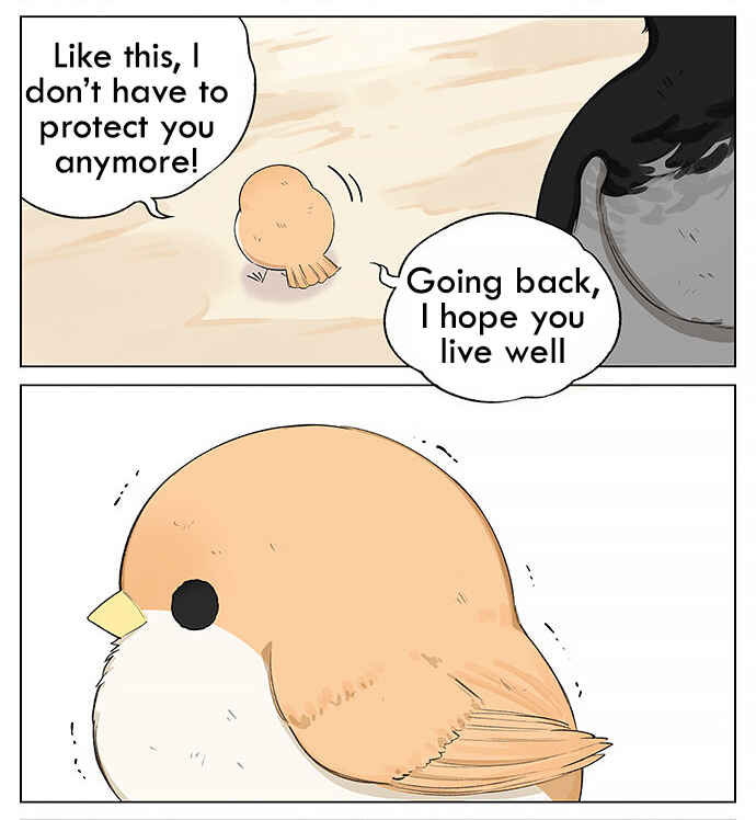 Southern Bird and Northern Bird Chapter 19 - Page 9