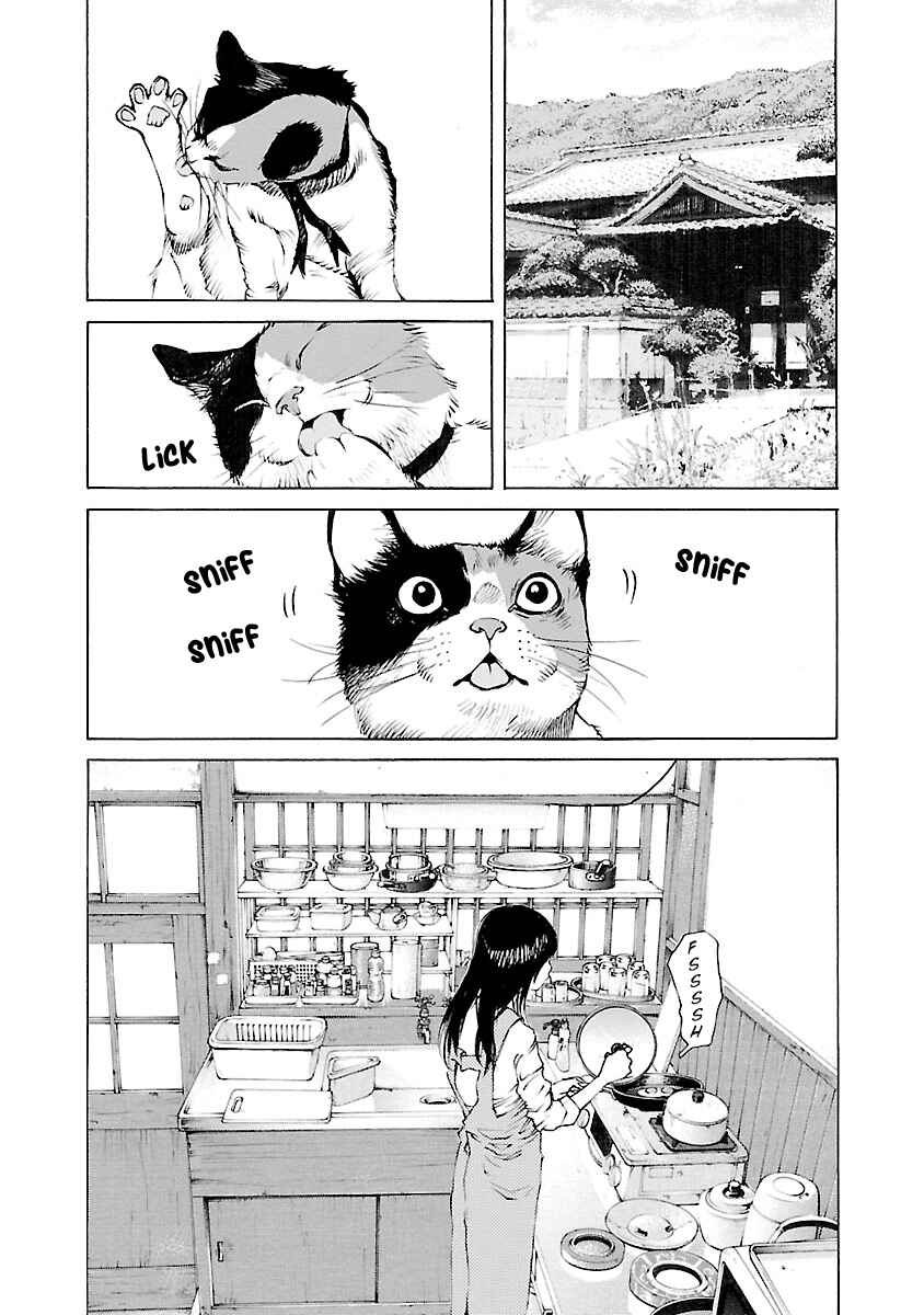 Ao no Shima to Neko Ippiki Chapter 12 - Page 22