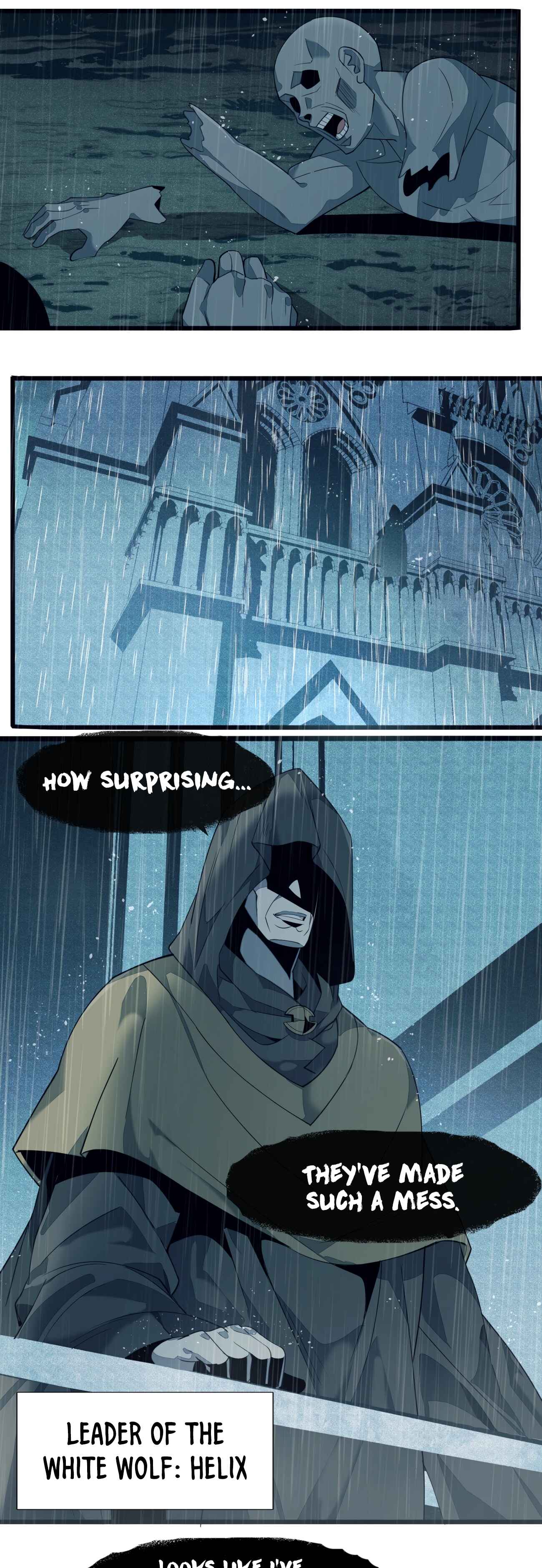 I'm Really Not the Demon God's Lackey Chapter 5 - Page 13