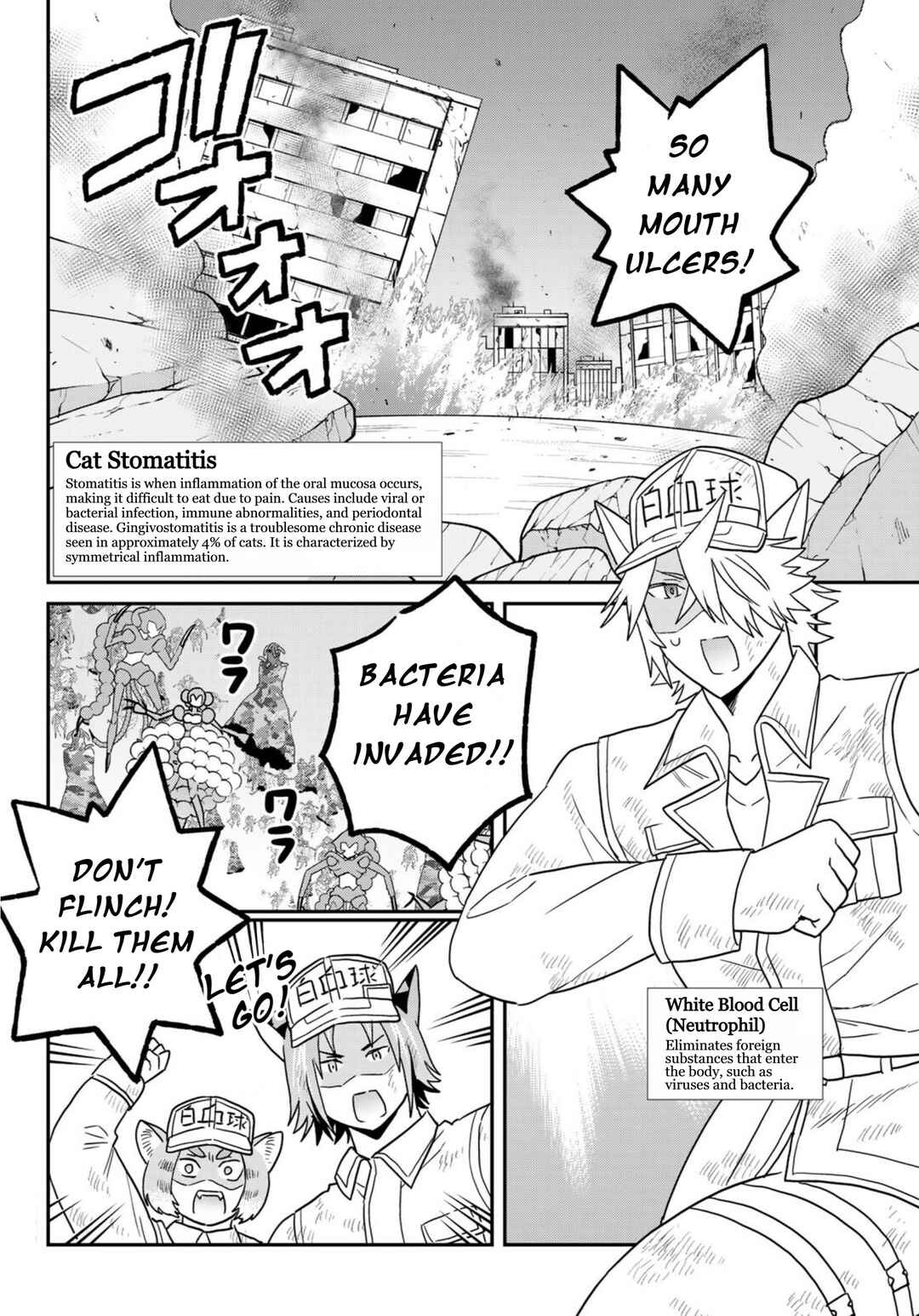 Hataraku Saibou Neko Chapter 24 - Page 4