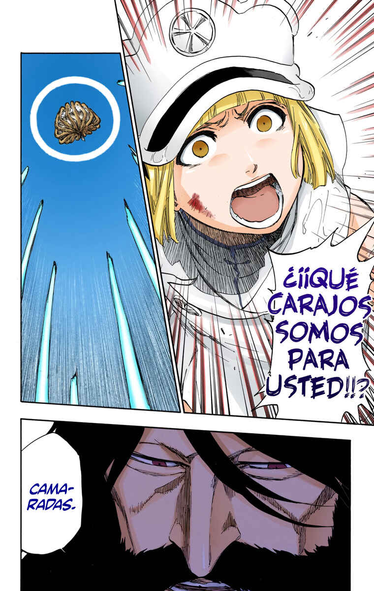 Bleach (Official Colored) Chapter 603 - Page 17