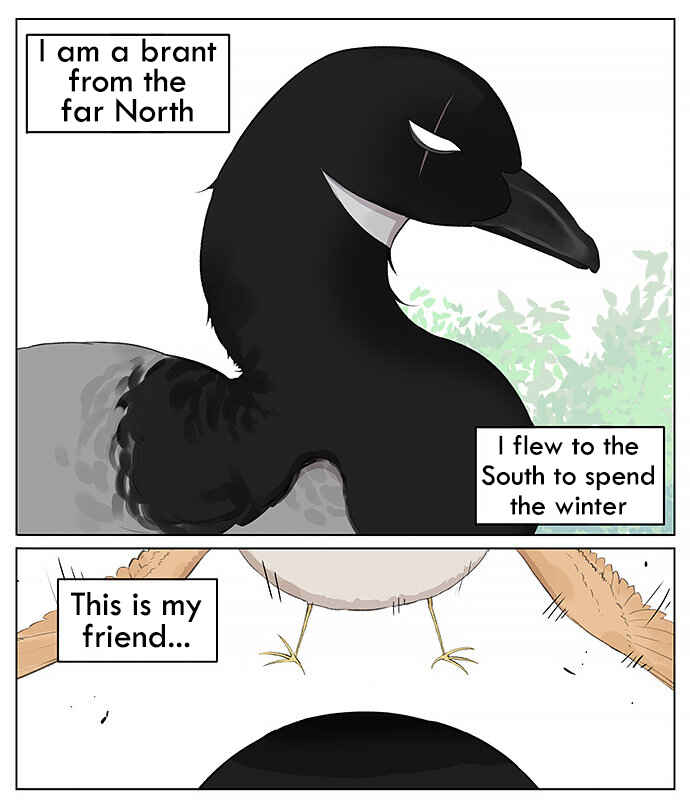 Southern Bird and Northern Bird Chapter 24 - Page 1