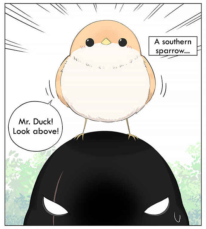 Southern Bird and Northern Bird Chapter 24 - Page 2