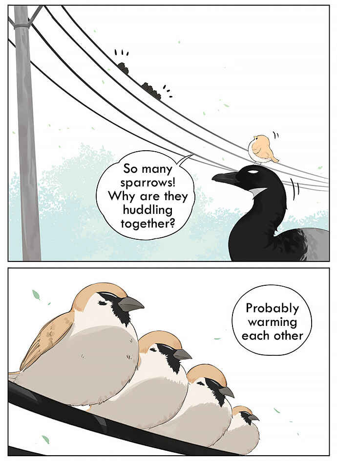 Southern Bird and Northern Bird Chapter 24 - Page 3
