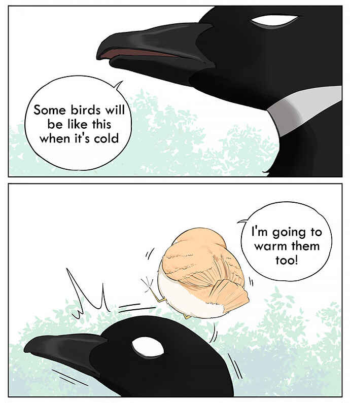 Southern Bird and Northern Bird Chapter 24 - Page 4