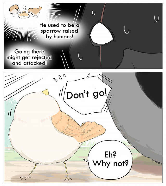 Southern Bird and Northern Bird Chapter 24 - Page 5