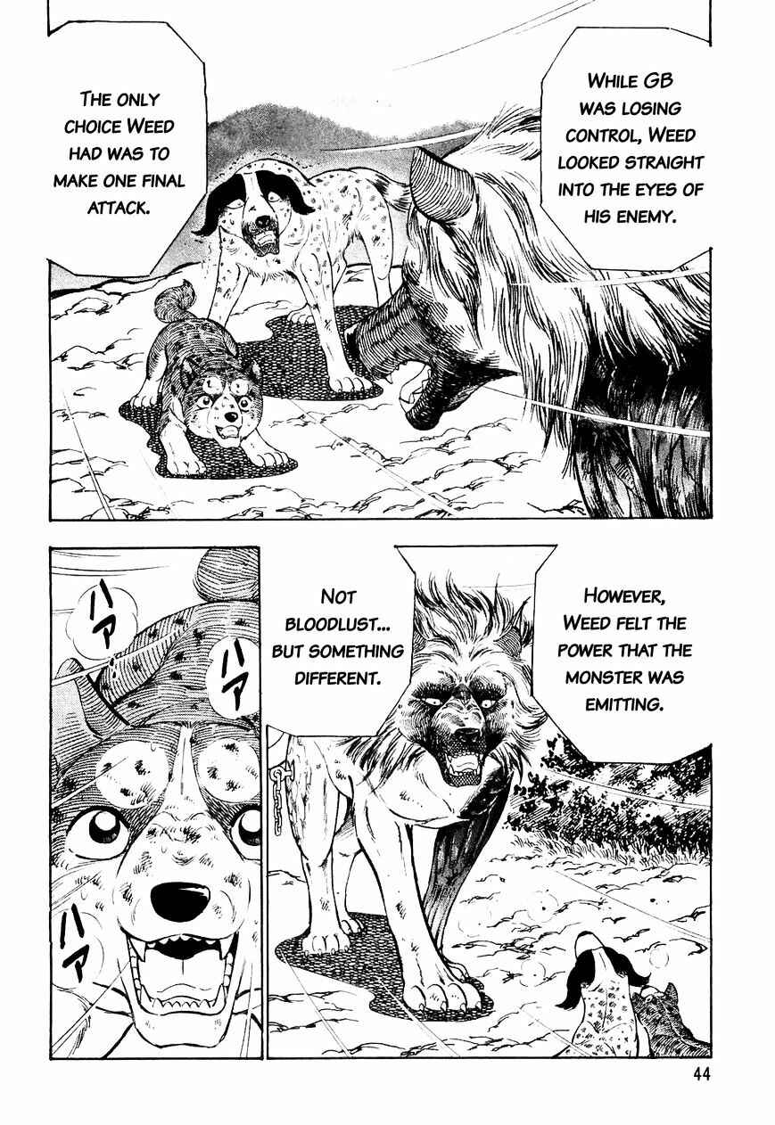 Ginga Densetsu Weed Chapter 22 - Page 21