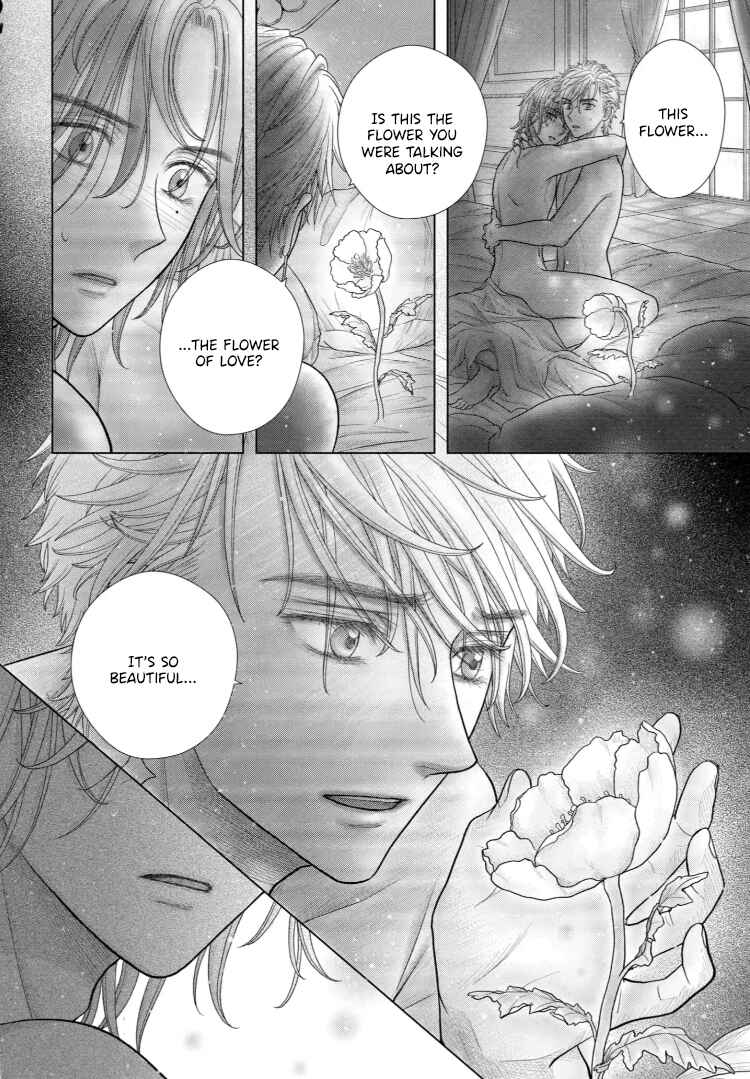 Champignon no Majo Chapter 31 - Page 22