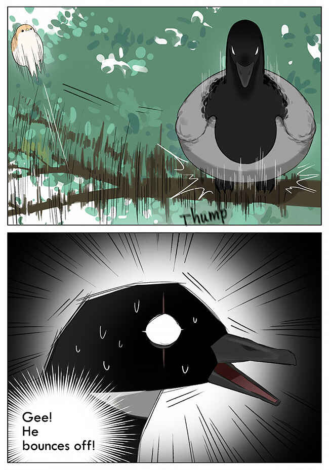 Southern Bird and Northern Bird Chapter 7 - Page 4