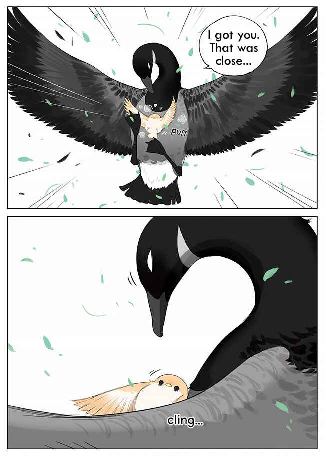 Southern Bird and Northern Bird Chapter 7 - Page 7