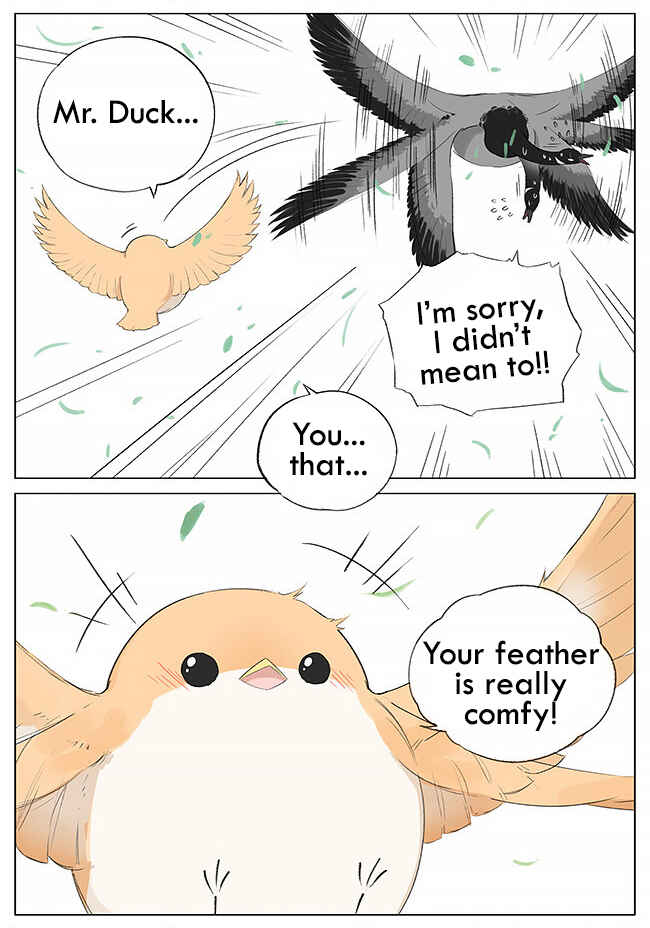 Southern Bird and Northern Bird Chapter 7 - Page 8