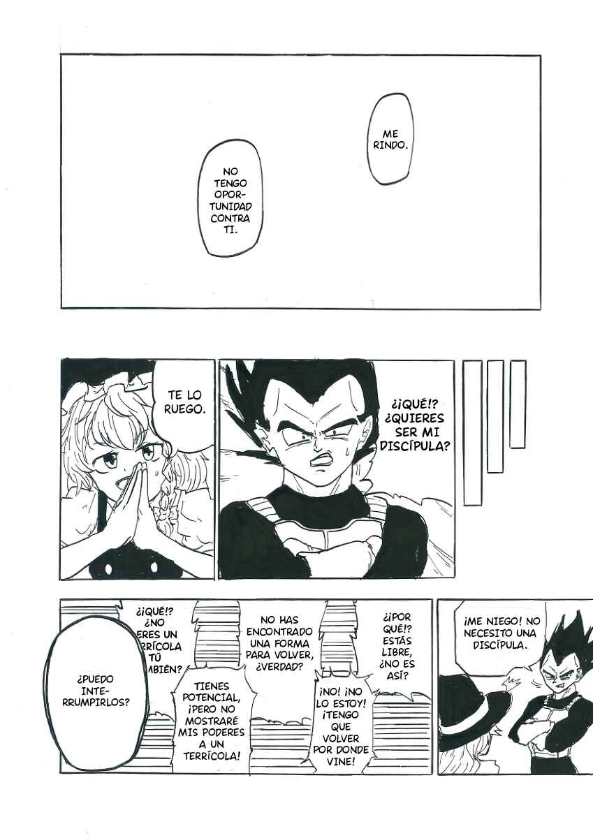 Touhou & Dragon Ball - EAST VEGETA (Doujinshi) Chapter 2 - Page 15