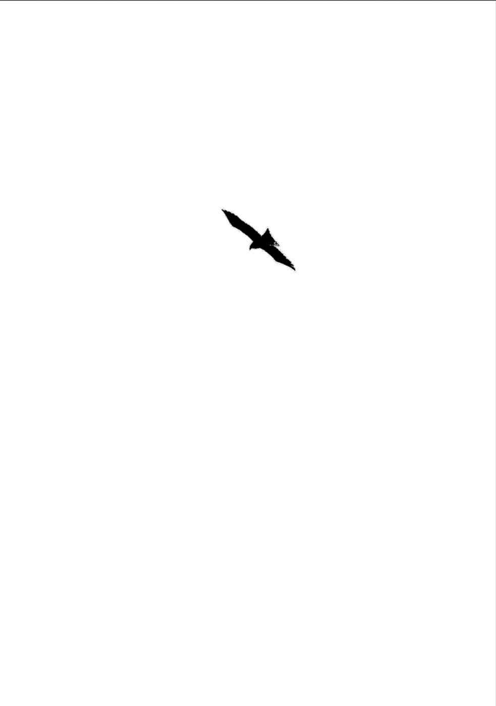 Montage Chapter 159 - Page 7