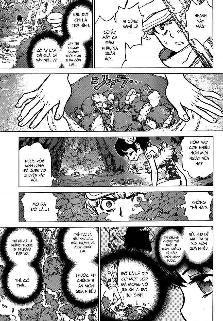 Dr.STONE Chapter 73 - Page 15