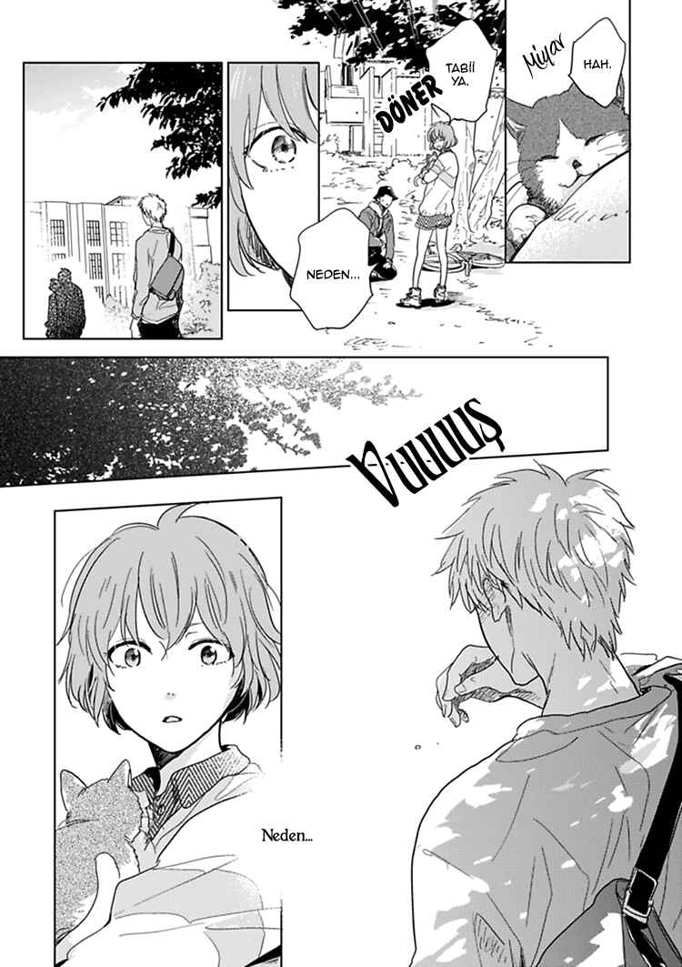 Hidamari ga Kikoeru Chapter 7 - Page 17