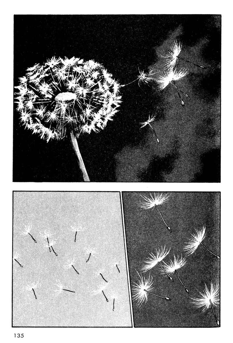 Shamo Chapter 17 - Page 14