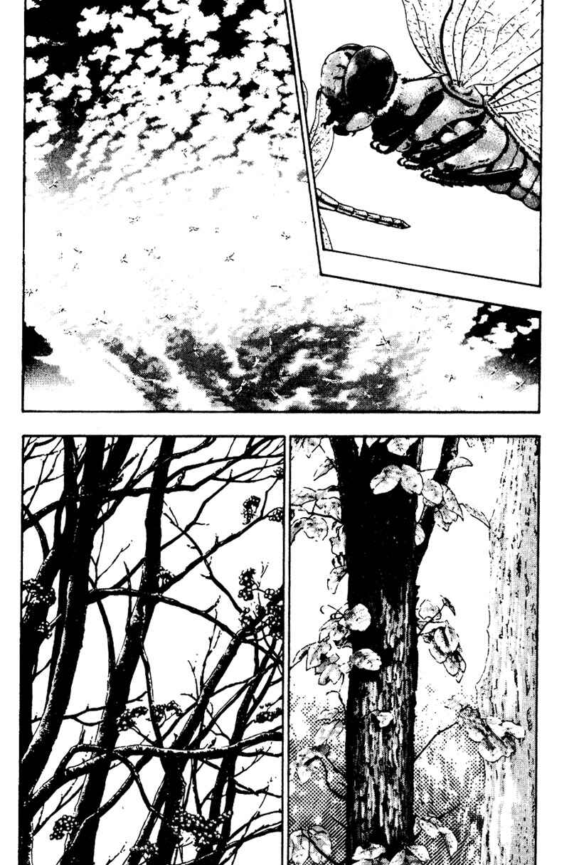 Shamo Chapter 17 - Page 5