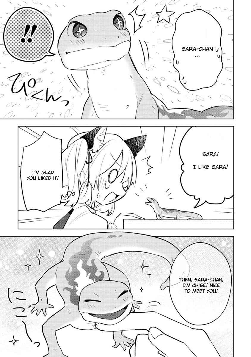 Nekomimi Shoujo wa Mori de Slow Life wo Okuritai ~Mofumofu wa Shomou Shimashita ga, Seijo to ka Ouji-sama to ka wa Chuumongai desu~ Chapter 2 - Page 9