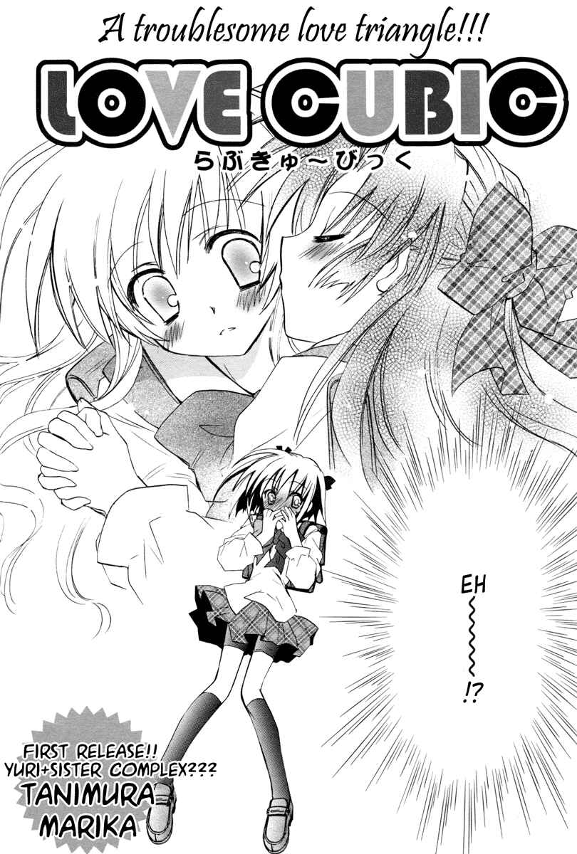 Love Cubic Chapter 1 - Page 5
